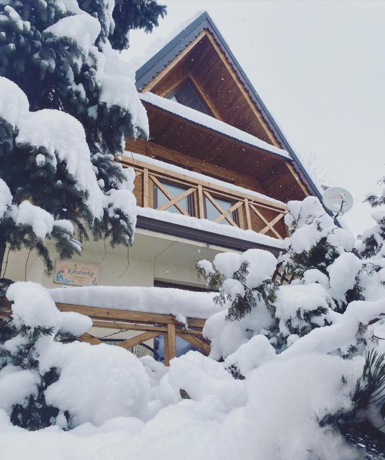 Villa Dom Pracy Tworczej Kosowka Kościelisko Exterior foto
